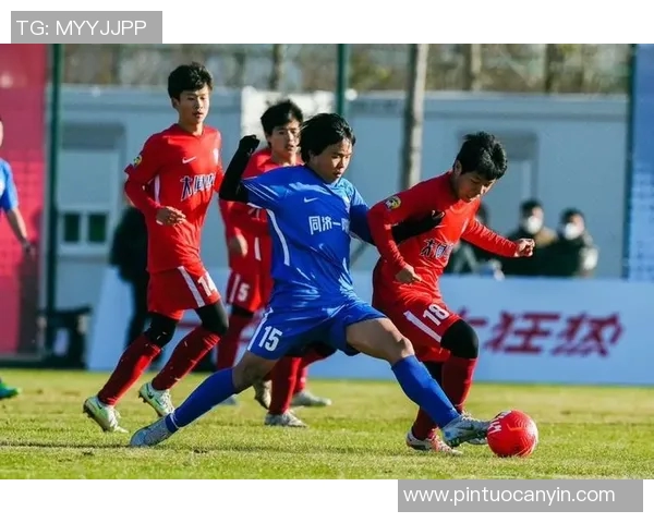 南京足球队总决赛精彩配合点评展现团队精神与战术执行力