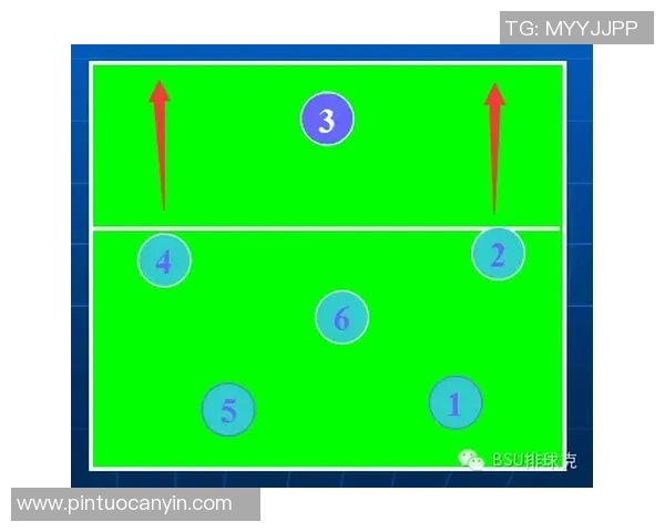 成都排球队整体压制战术解析与排球热点深度剖析