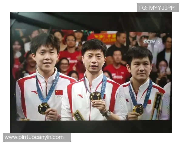 乒乓球传奇：杭州乒乓球队逆袭之路的奋斗与荣耀