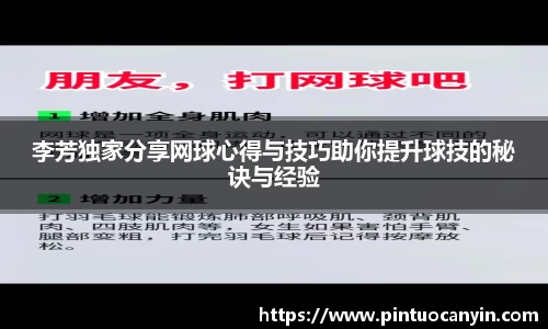 李芳独家分享网球心得与技巧助你提升球技的秘诀与经验