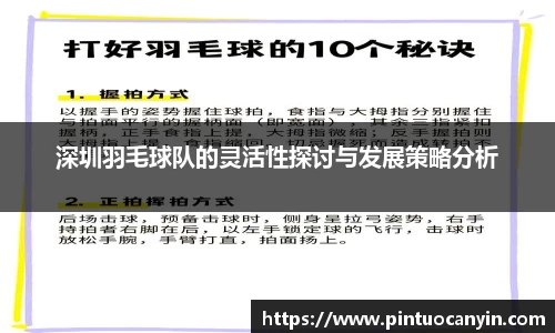 深圳羽毛球队的灵活性探讨与发展策略分析