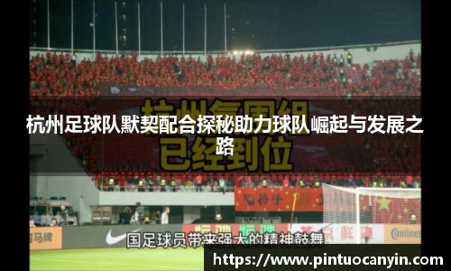 bwin必赢